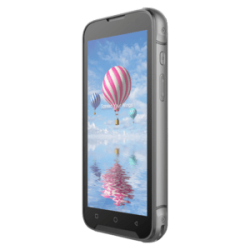 Bluebird EF551, 2D, SE5500, 14 cm (5.5''), hot-swap, USB-C, BT (BLE), Wi-Fi, NFC, Android, GMS, RB