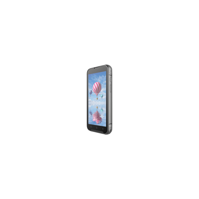 Bluebird EF551, 2D, SE5500, 14 cm (5.5''), GPS, hot-swap, USB-C, BT (BLE), Wi-Fi, eSIM, 5G, NFC, Android, GMS, RB